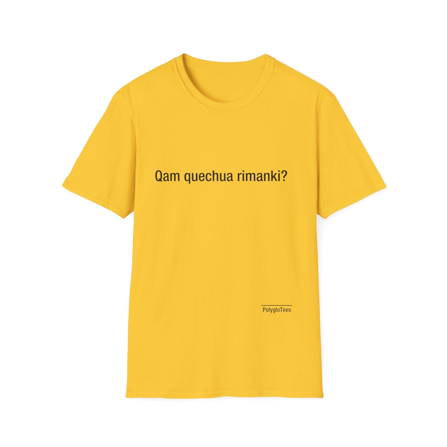 Qam quechua rimanki?