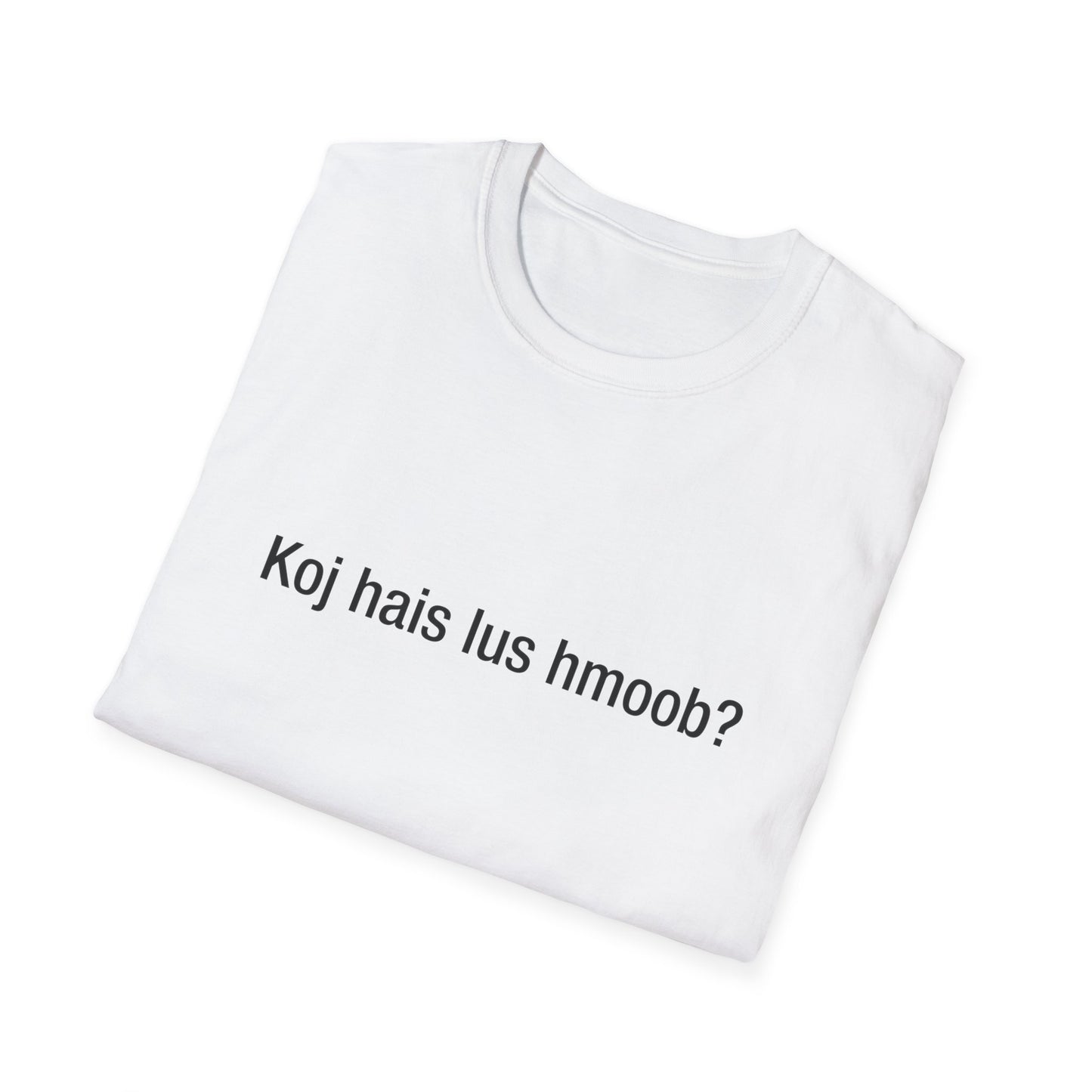 Do you speak Hmong?