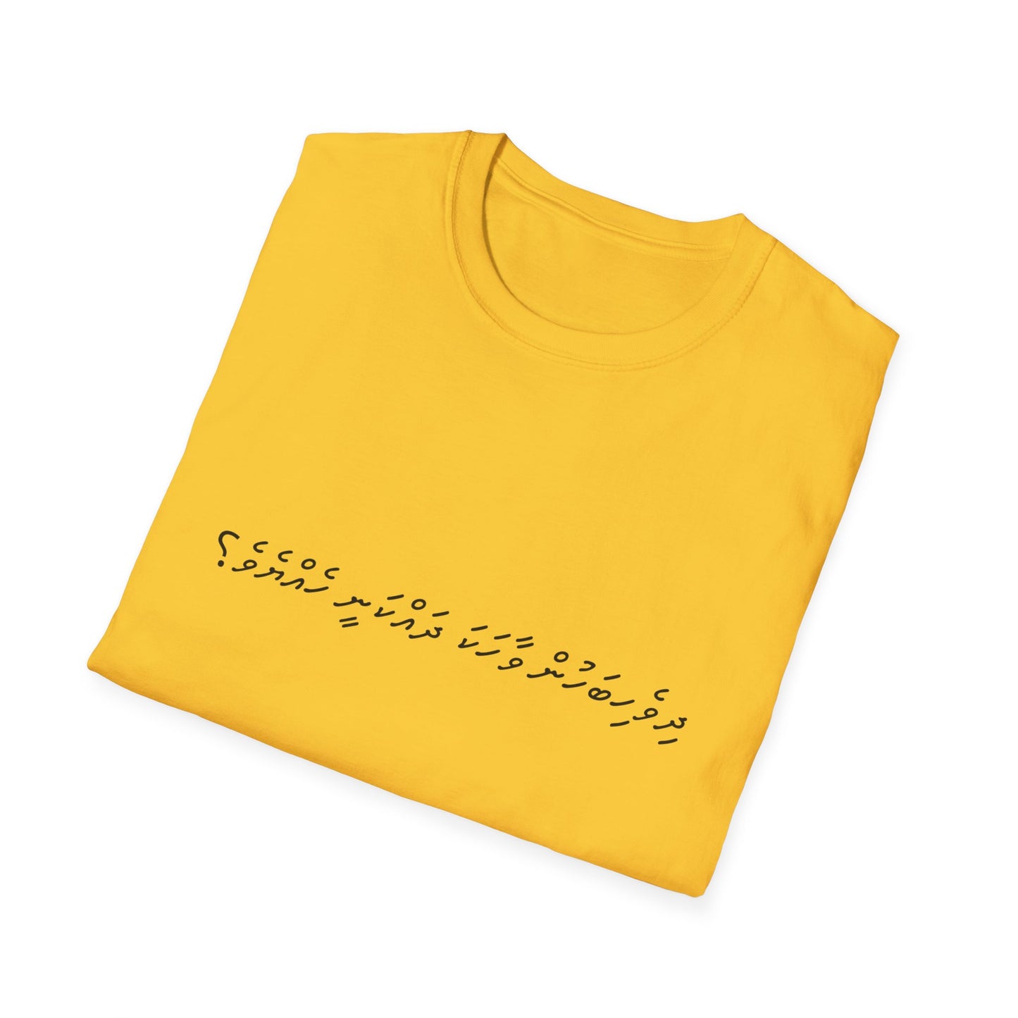Do you speak Dhivehi?