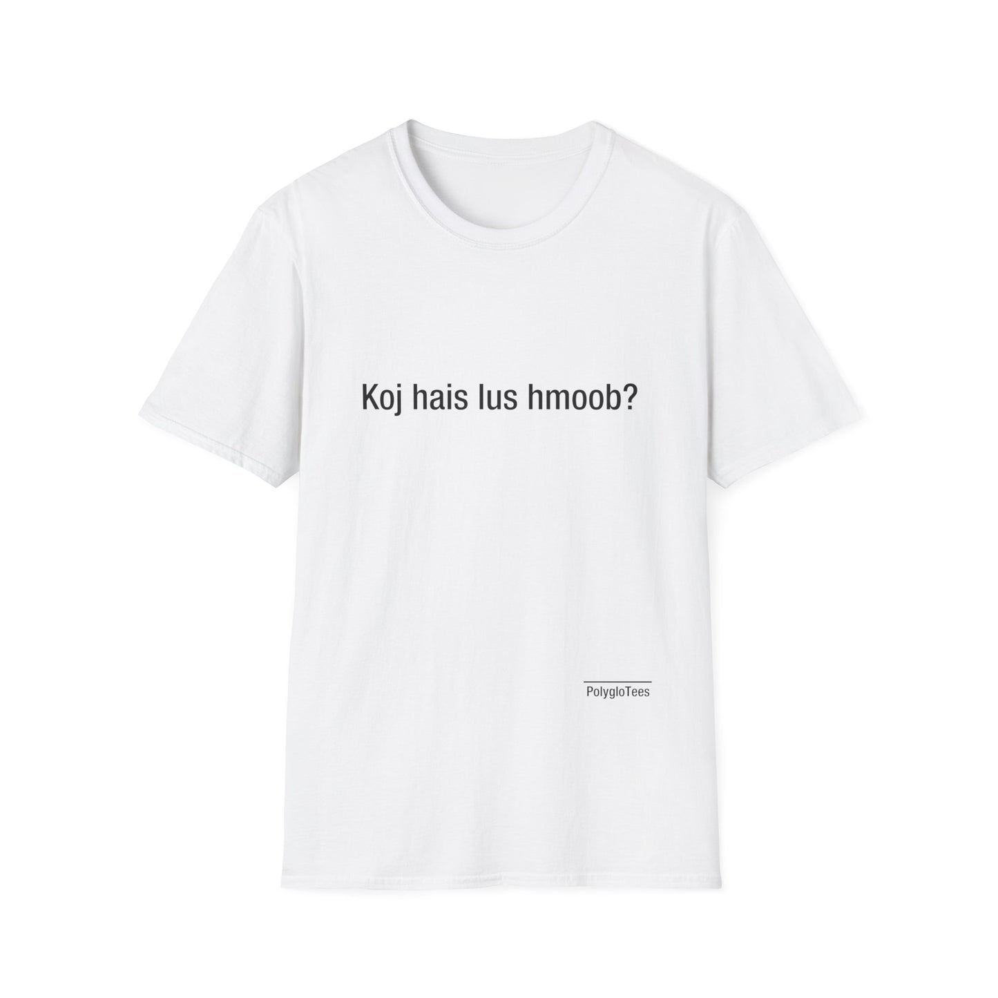Do you speak Hmong?