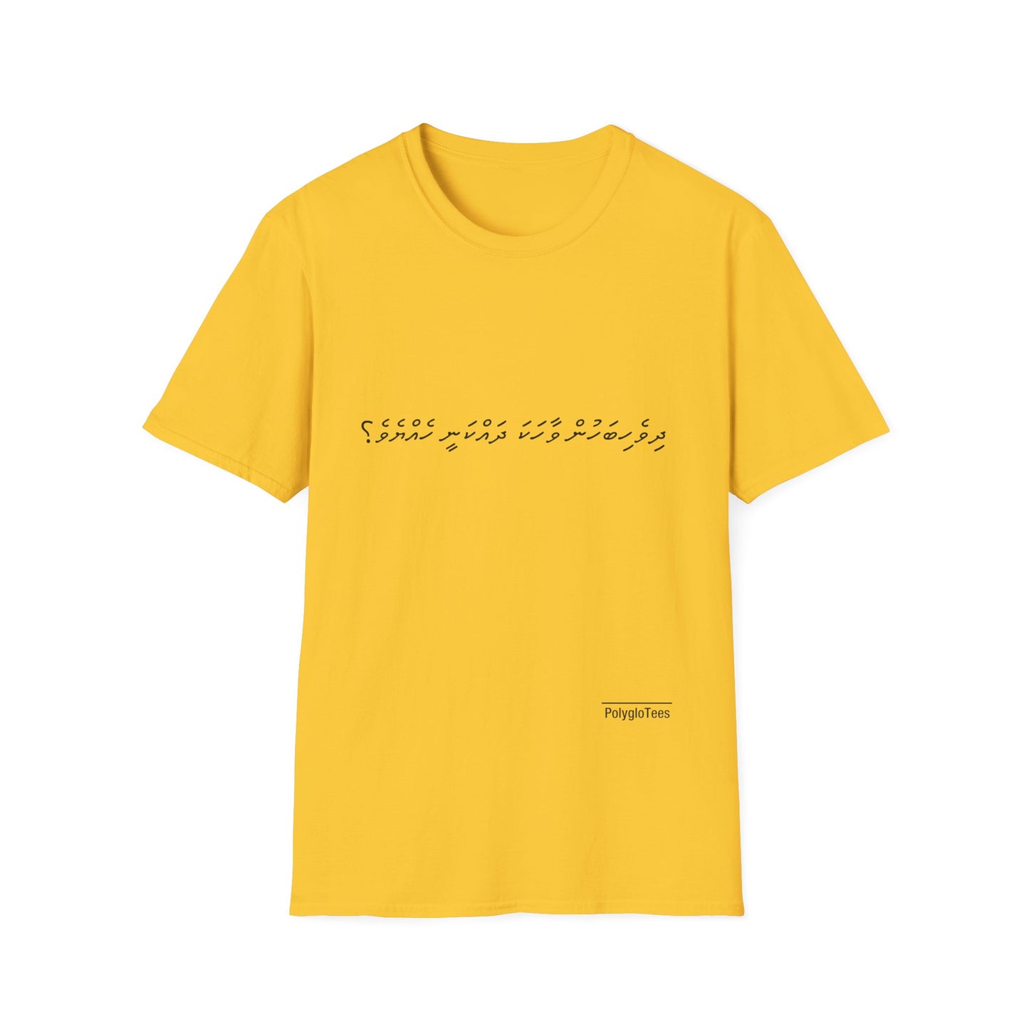 Do you speak Dhivehi?