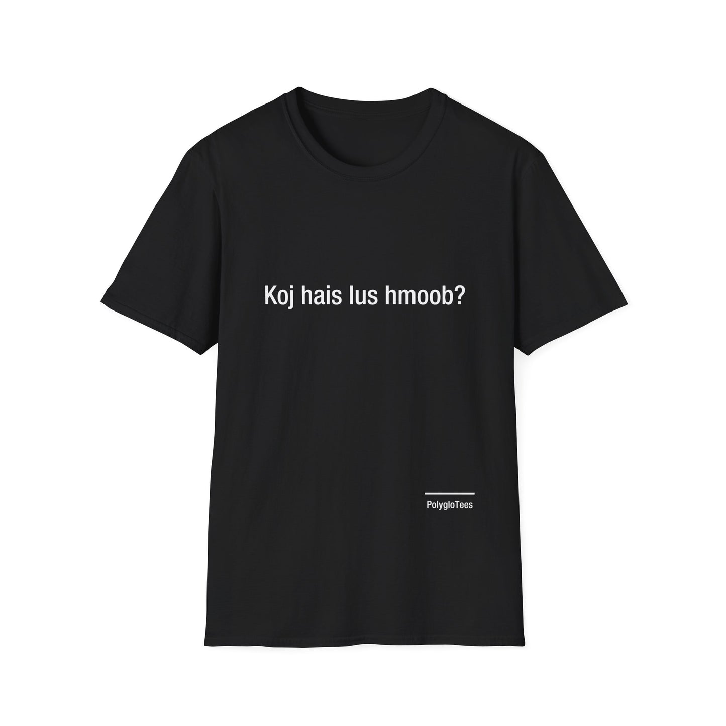 Do you speak Hmong?