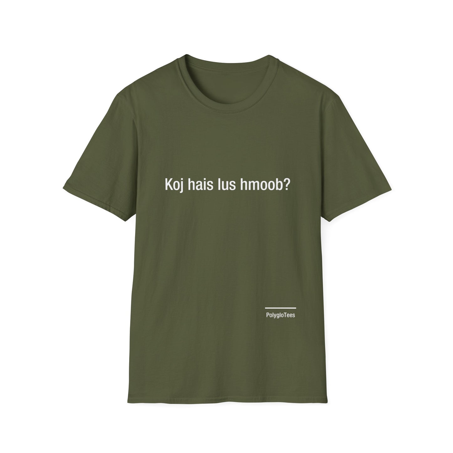 Do you speak Hmong?