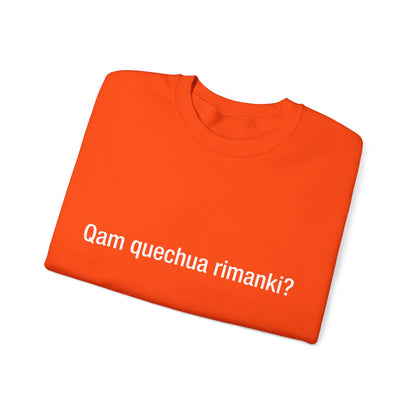 Qam quechua rimanki?