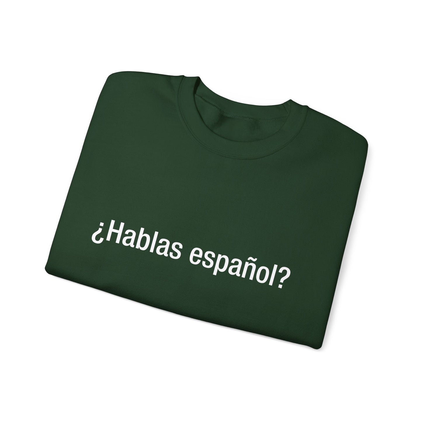 ¿Hablas español? (Spanish)