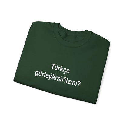 Türkçe gürleýärsiňizmi? (turkic)