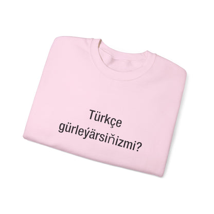 Türkçe gürleýärsiňizmi? (turkic)