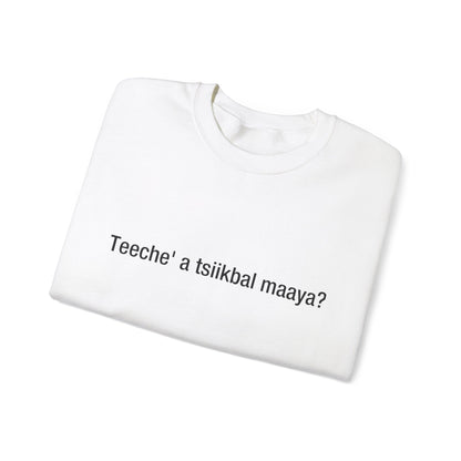 Teeche' a tsiikbal maaya? (Maya)